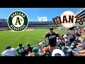 YesYes Vlog Oakland Coliseum Battle of the Bay Bleacher Seat Experience