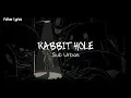 Download Lagu Rabbit Hole | Sub Urban -Lyrics