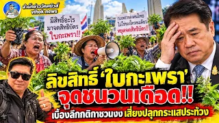 15983 ลิขสิทธิ์ “ใบกะเพรา” จุดชนวนเดือด!! เบื้องลึกกติกาชวนงง เสี่ยงปลุกกระแสประท้วง