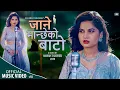 Download Lagu JANE MANCHHE KO BATO ॥ New Nepali Song 2021॥ Eleena Chauhan॥ जाने मान्छेको बाटो ॥