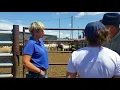 New York beef representatives tour South Dakota beef operations