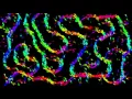 Processing Java - 3000 Path Forming Orbs 60 fps Generative Art