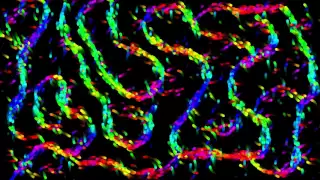 Processing Java - 3000 Path Forming Orbs 60 fps Generative Art