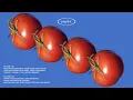 Download Lagu 𝑝𝑙𝑎𝑦𝑙𝑖𝑠𝑡 덥고 짜증날 땐 이런 노래지 🍅 | 여름청량 팝  summer pop / feel-good music
