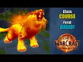 Class Course A Feral Druid Rotation Guide for Beginners The War Within 11 2