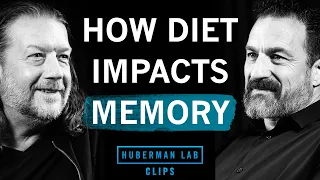 How Diet Impacts Memory & Disease Risk | Dr. Scott Kanoski & Dr. Andrew Huberman
