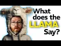 Debugging Ollama