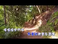 葉佳修  鄉間的小路 【KTV音聲分離導唱字幕】