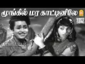 Download Lagu Moongil Marakaattinile - HD Video Song | மூங்கில் மர காட்டினிலே| Azhagu Nila | Malini | KV Mahadevan