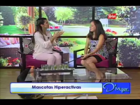 Mascotas hiperactivas