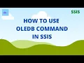 How to use OLEDB command transformation in SSIS