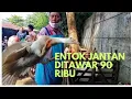 Download Lagu Nego-nego seru ! Jual beli entok di tengah keramaian pasar hewan Purbalingga