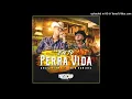 Grupo Firme & Lenin Ramírez - En Tu Perra Vida  (Audio)