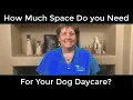 How Much Space Do You Need for Dog Daycare