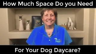 How Much Space Do You Need for Dog Daycare
