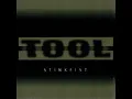 Tool - Stinkfist