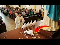 Download Lagu Dove faints when touching Our Lady after invading mass, priest does something unbelievable to see