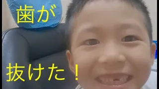 歯が抜けた！スポーツ少年｜予防歯科　原歯科医院【調布市・八雲台・布田駅】