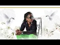 Download Lagu Soul Jah Love - Ndizvo Zvandiri | Zimdancehall