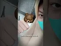 Download Lagu PENGEN INSECURE TAPI LUPA KALO PUNYA CEWE SECANTIK INI 😼 TREND TIKTOK