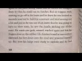 Hatchet chapter 18