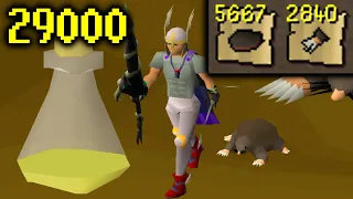 Creating a lifetime supply of Saradomin Brews UIM