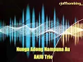 Lagu Nunga Adong Nampuna Au || ANJU Trio || Lagu Batak Terbaru 2018