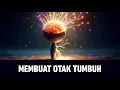 Download Lagu Cara Meningkatkan Kecerdasan Otak Beberapa Kali Lipat