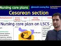 Nursing care plan on Cesarean section Nursing care plan on lower segment Caesarean section LSCS