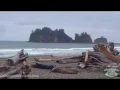 Quileute Oceanside Resort La Push Washington WA - CampgroundViews com