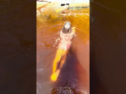 TERIA CORAGEM DE ENTRAR NESSA ÁGUA PRETA?