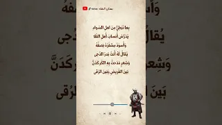 المتنبي هجاء كافور 