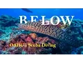 BELOW - Oahu Awesome Scuba Diving GoPro 4K