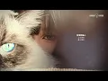 『港風粵語新版♪』 我恨我癡心 - 落日微醺   (亦愛亦恨是我痴心)