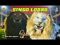 Download Lagu SINGO LODRO ! Sido Asih Barongan Jepara Terbaru 2025 Alun-Alun Jepara