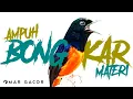 Download Lagu MURAI BATU GACOR FULL ISIAN TEMBAKAN KASAR dan KRETEKAN UNTUK MURAI BATU BONGKAR MATERI