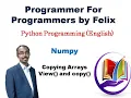 Python Numpy Copying Arrays view copy