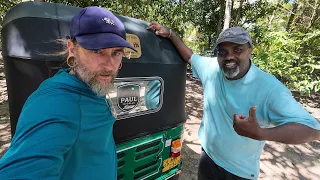 Visiting a Tea Plantation and a Buddhist Temple with Paul from Galle in Sri Lanka