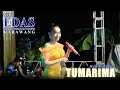 Download Lagu Tumarima - Ayu Rismaya || New Edas Ebreg Productions - Karawang || Live Cimider 2024