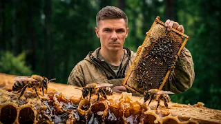 МЫ ИХ ПОЙМАЛИ! ДИКИЕ ПЧЁЛЫ: КАК ЗАВЕСТИ И СКОЛЬКО МЁДА МОЖНО СОБРАТЬ? ТРИ ГОДА ТЯЖЕЛОГО ТРУДА