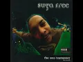 Don't Fight Da Pimpin' - Suga Free