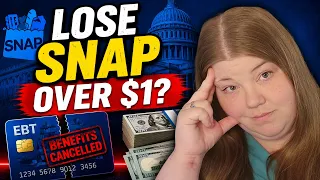 SNAP ALERT New Plan Could Change Eligibility Rules in 46 States