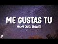 Download Lagu Manu Chao - Me Gustas Tu (Slowed) (Letra/Lyrics)