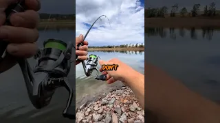 The Perfect Fishing Starter Kit