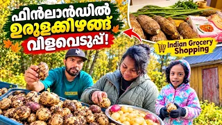 🥔 കിഴങ്ങ് വിളവെടുപ്പ് | family vlog #mallusinfinland #familyvlog #malayalam #harvest #shopping 