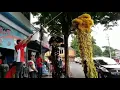 Download Lagu Barongsai dung deng dung deng