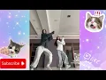 Lagu Marshup ultimate Trending With TUTORIAL Nov/30/2025 Dec #trending #dancetutorial #duet #mashup  