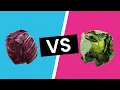 Red Cabbage vs Green Cabbage - What s the Difference