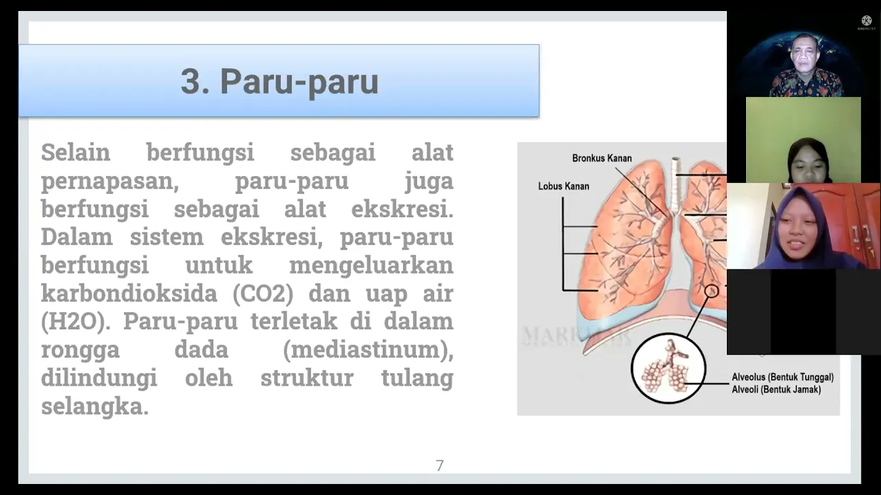 
          
          
          
            
            Kuliah anatomi fisiologi manusia: sistem  ekskresi pada manusia
          
        . 