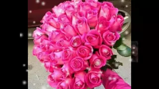جواهر شمس الغربه دندنها